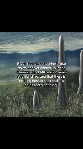 The Silurian Period was about 444 to 419 million years ago, after a major extinction event. The Earth’s climate became warmer and more stable, oceans were full of fish and coral reefs, and the first plants and small arthropods began to move onto land, starting the early development of life outside the water. #earth #oldearth #evolution #period #fyp