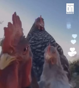 Exte C & Hypaphonik Very excited we just completed our second hit song 😭😭😭😭 Loading…… | Exte C