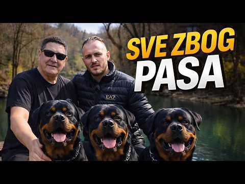 How Rottweilers Brought Us Together