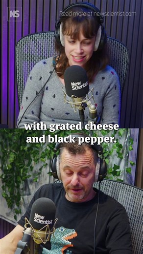 This is how to make the perfect pasta…with physics! 🍝 Italian physicists have used their knowledge of phase behaviour to figure out how to make the perfect bowl of cacio e pepe every time. Rowan Hooper tells Penny Sarchet how Ivan Di Terlizzi and Giacomo Bartolucci began their research in Germany, while longing for a home-cooked meal. They went into incredible detail with their work - pasta is more complex than we realised! And bizarrely they suggest the finding may have implications for our un