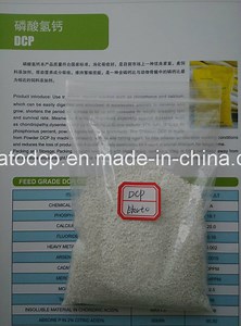 [Hot Item] Dicalcium Phosphate/DCP 18%Min Powder/Granular Animal Feed