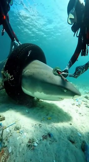 8.9K views · 14 reactions | From bottle to wave — the plastic always returns. It’s time to rewrite the story: clean oceans, clean lives.  #CleanOceans #StopPlasticPollution #BeatPlasticPollution #OceanConservation #EndPlasticWaste #EcoAwareness #OurOceanOurFuture #ClimateAction #SustainabilityMatters | Deep Sea | Facebook