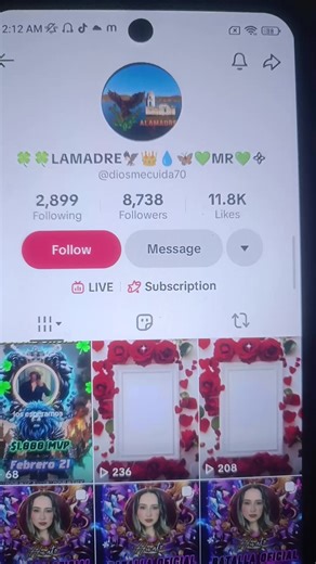 @🍀🍀LAMADRE🦅👑💧🦋💚MR💚᯽