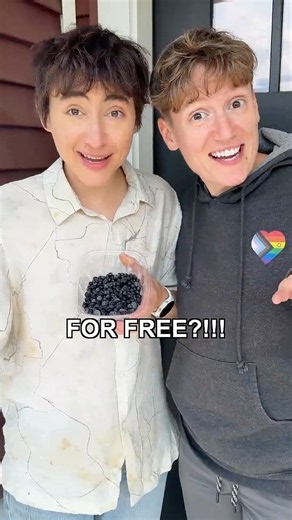 🏳️‍🌈 can we get blueberries for FREE? 💙 Follow ‪@barrierose‬ ‪@adesso.laurenzo‬