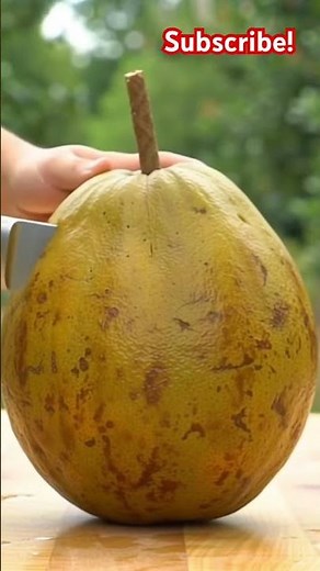 Cutting the Fruit You’ve Never Seen Before—Pawpaw!🤯#asmr #mukbang #asmreating