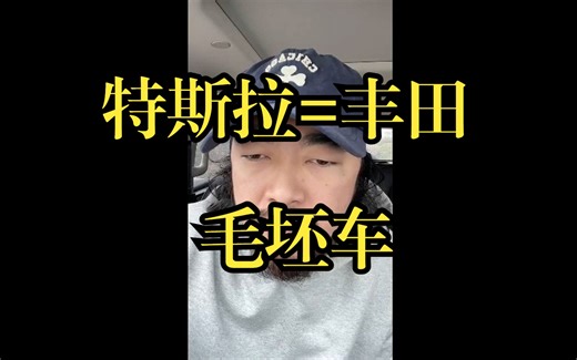 峰哥说车：锐评特斯拉