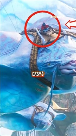 This is what you need to ride a Windray #windray #avatar #avatar3