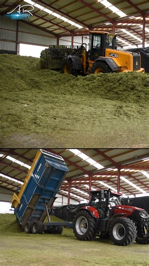 JCB 416 working the pit #arimagery #farming #agriculture #farmlife #jcb #buckrake #silage #silagepit | AR Imagery - Farming & Agricultural Videographer