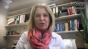 Microeconomics 2 - ECON2101