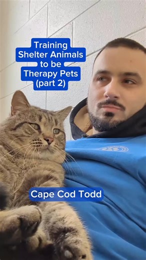 Michigan Animal Rescue League on Instagram: "Head on over to MARL.org for more information about our shelter, our adoption process, and the complete list of our amazing adoptable pets 💙 #marl #animalshelter #rescuecat #rescuedog #adoptdontshop"