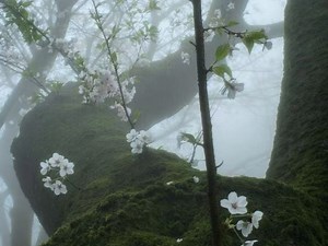【𝒏𝒊𝒏𝒊制作】定制公开sub｜超级ug地狱级瘦身｜骨感瘦｜古希腊掌管身材的神｜天鹅体态
