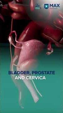 Radiation Therapy: A Safe and Effective Cancer Treatment for Older Adults