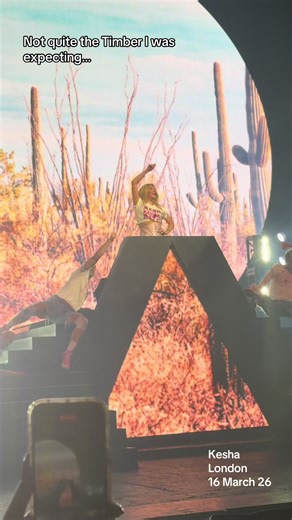 Kesha Live at O2 Academy Brixton: Timber