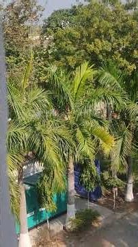 Best Seen in RCIT College Campus 2