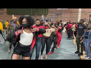 Delta Sigma Theta Sorority, Inc. | The Real Beta Alpha Chapter | FAMU BADST