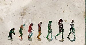 March of Progress - All Stages of Evolution