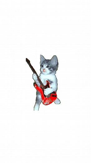 Love Cats Song Lyrics | Adorable Kitty Music Video