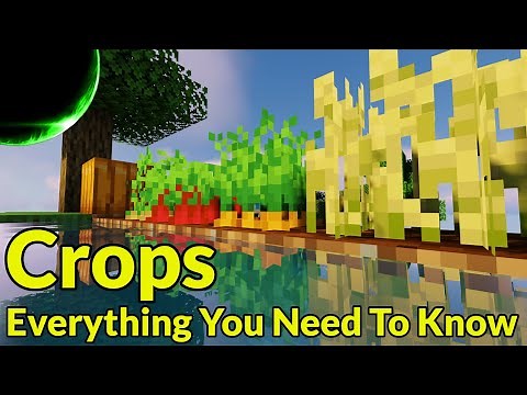 Crops: Everything You Need to Know (Java & Bedrock, 1.21.11 and Down) | Minecraft Farm Tutorial