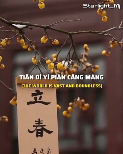 Fei Yu-ching - Yi Jian Mei (Xue hua piao piao) (lyrics)✨🌸#chinesesong