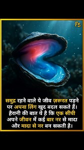 3.3K views · 2.5K reactions | Oysters – The Gender-Shifting Sea...