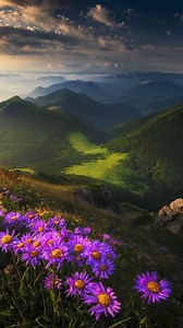 9.2K views · 521 reactions | Happy International Women’s Day to all...