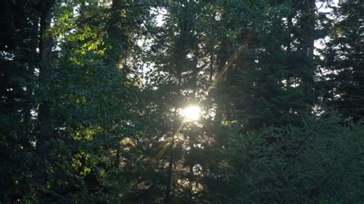 1.2K views · 14 reactions | What’s up everyone, Sam Sharp here!...