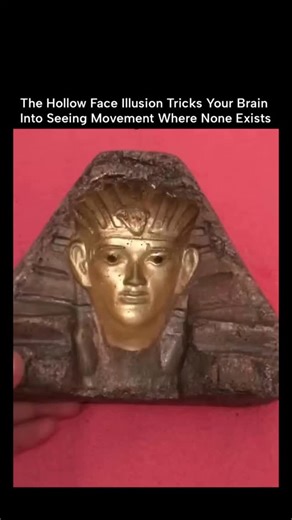 Healthy Body Mindset on Instagram: "@healthy.body.mindset_ This 12-second clip shows an edited Instagram reel using scenes from a 1995 Simpsons episode, adding Illuminati-style symbols on characters' hands to suggest a fake prediction about similar marks on Donald Trump's hands in 2025. The reel reached 2.3 million views and 41,800 likes, showing how fast such theory-based edits spread online. In reality, Trump's hand marks are simple bruises, commonly linked to blood-thinning aspirin use in old