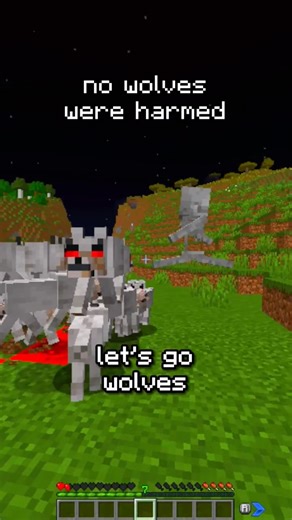 Minecraft Skeleton Trap