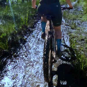 1K views · 381 reactions |  The Perfect Gift for Every Cyclist! ‍♂️...