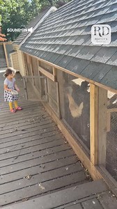 24K views · 129 reactions | A Girl and Her Chickens | Reader's Digest | Facebook