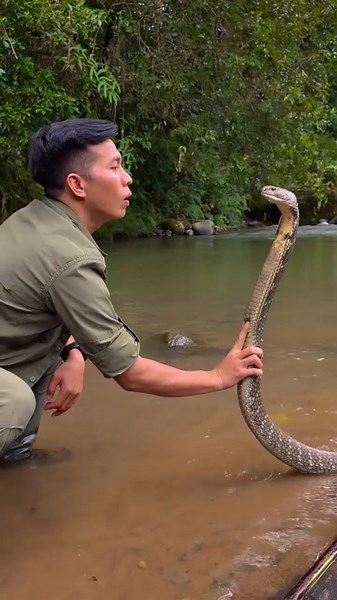 📍FACT 53 : “ NEW ZEALAND LO SNAKES ENDUKU LEVU 🐍“| #amarraghu#facts#shortsfeed #snakes #newzealand