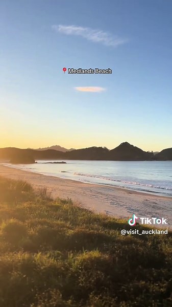 Top Instagrammable Spots in Auckland You Must Visit