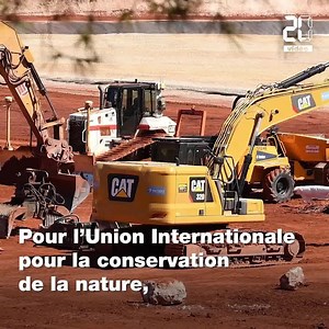 La situation de la faune et de la flore sauvages s’est dégradée en treize ans en France. Sur les 13.842 espèces évaluées par La liste rouge nationale, 17,6 % sont menacées. | 20 Minutes
