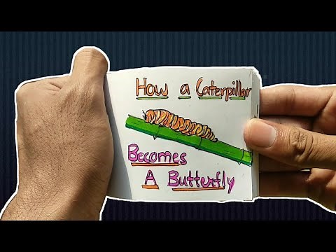 Caterpillar🐛 to Butterfly🦋 flipbook Animation Tricky Arts