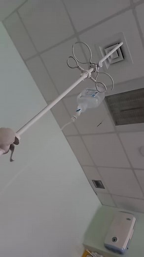 Understanding Medical IV Bags and Their Usage