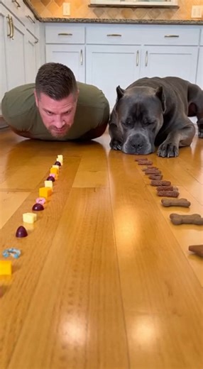 6.4K views | The Primal Snack Race You Didn’t Know You Needed  #CrazyChallenge #Epic | Bite Race Show | Facebook