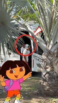 We saw Dora the Explorer