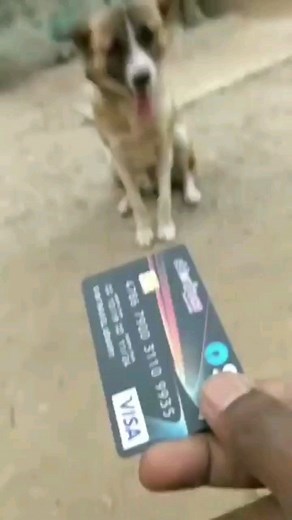 Allu Raghu on Instagram: " #quotesdaily #happinessquotes #goodquote #factsdaily #newyearcountdown #motivationalspeaker #lovequotes #motivating #inspiringquotes #inspirationdaily #inspiring #inspirationalhenna #2020 #motivationdaily #inspiredaily #motivationalquote #positivityiskey #motivate #inspirationalart #goodquotes #inspirationalmen #imgoodluvenjoy #successquotes #happy #mambaforever #inspirationalcultmag #inspirationallife #inspirationalspeaker #workethic #instoreapp"