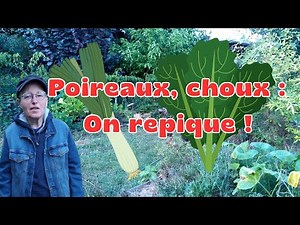 Repiquage de Poireaux, Plantation de Choux, Semis et Rempotage