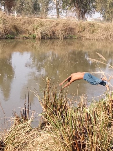 Boosting Your New TikTok Account: Tips for Success