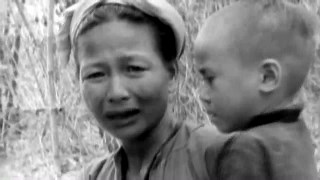 The Most Dangerous Man in America: Daniel Ellsberg and the Pentagon Papers (2009)