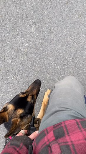 12 reactions | Keep your eyes on my left foot as you watch this video...