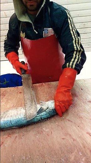 The ONLY King Mackerel Tutorial You'll Ever Need!