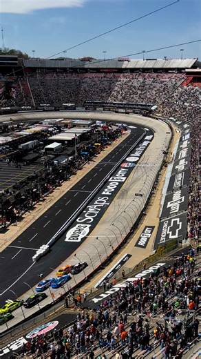 104K views · 953 reactions | The green flag is in the air for the Food City 500! | WCYB | Facebook