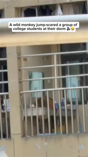 61K views · 94 reactions | A group of college students were standing...