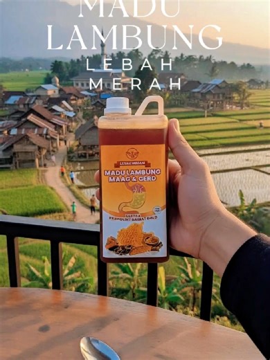 Madu Lambung Lebah Merah: Obat Herbal Ampuh
