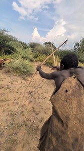 855K views · 8.2K reactions | see how hadzabe guy try to shoot goats  with  African stories | Hadzabe tribe culture | Facebook
