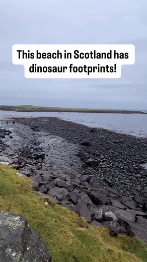 Dinosaur footprints on the Isle of Skye 🏴󠁧󠁢󠁳󠁣󠁴󠁿 . . . #uk #nature #dinosaur #scotland #natureza #fossil #wildlife #dinosaurio #isleofskyescotland | Jacob Rheams Photography