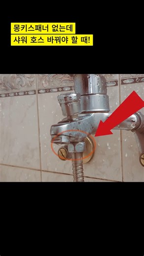 Need to replace your shower hose but don't have a wrench?