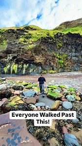 Here is an ammonite rock that we found in a loose shale slab and opened up on the beach with our hammer and chisel! 🏝🌊 The surrounding shale is softer than the nodule and is easily broken away. Inside the nodule, a beautiful Dactylioceras ammonite from the Jurassic 😍🦑 These ammonites are around 185 Million Years Old 💀🏝 | Fossils Explorer